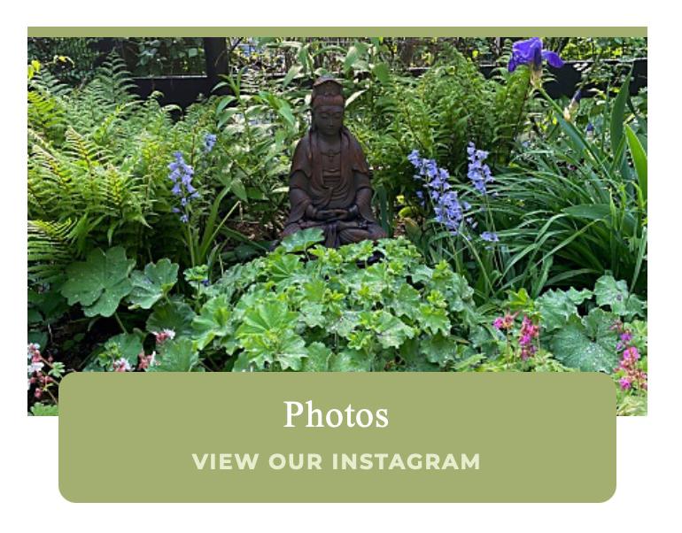 The Cirlce Garden Photos