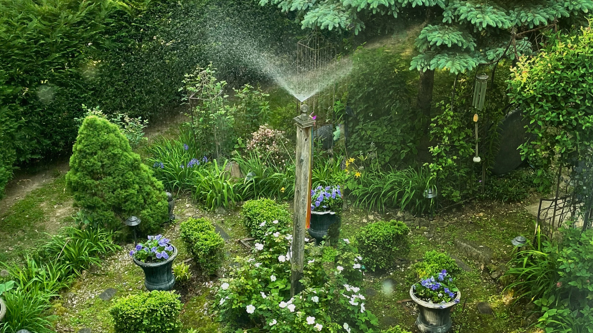 Watering and Irrigation